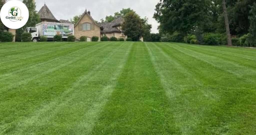 Benefits of Core Aeration and Overseeding