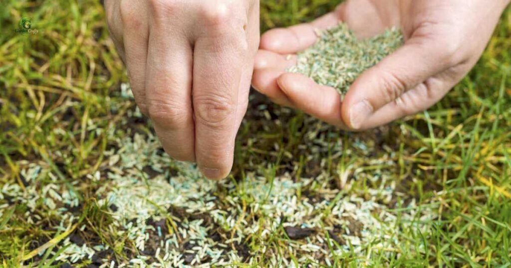 Benefits of Overseeding for Warm-Season Lawns
