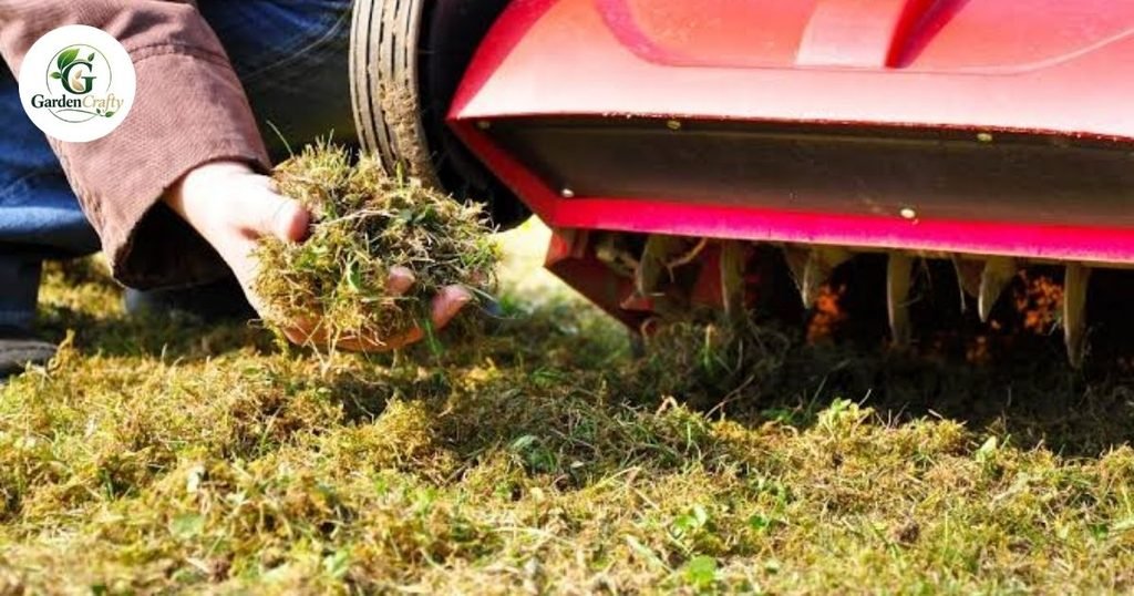 Common Aeration Mistakes