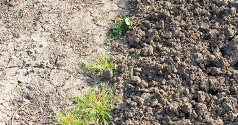 Compact Soil