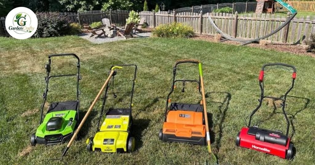 Dethatching Tool and Cost Comparison