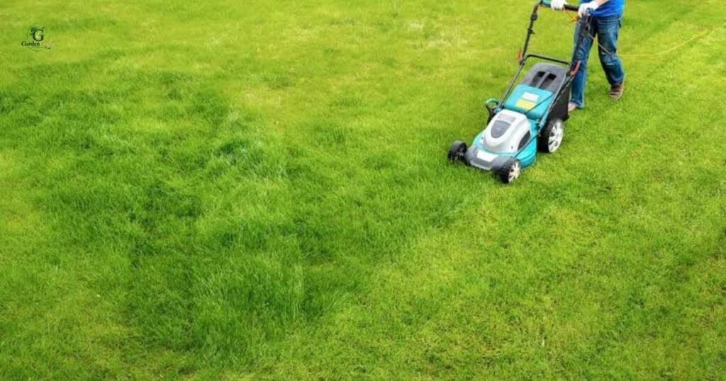 Lower Lawn Care Costs Over Time