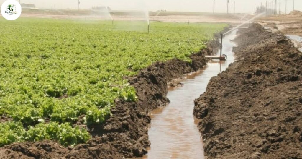 Overseeding Helps Reduce Runoff and Water Pollution