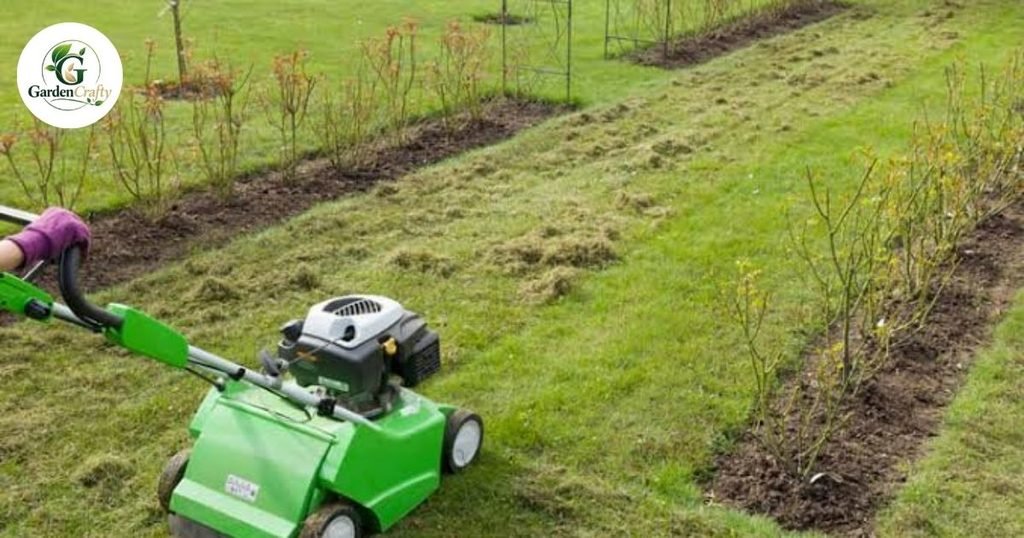 Pros and Cons of Lawn Thatch
