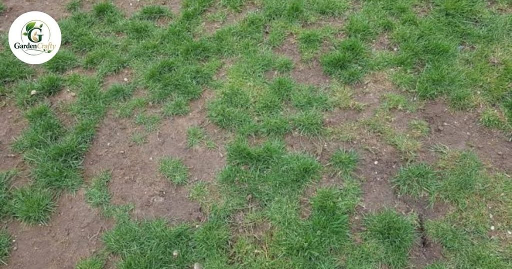 Soil Compaction