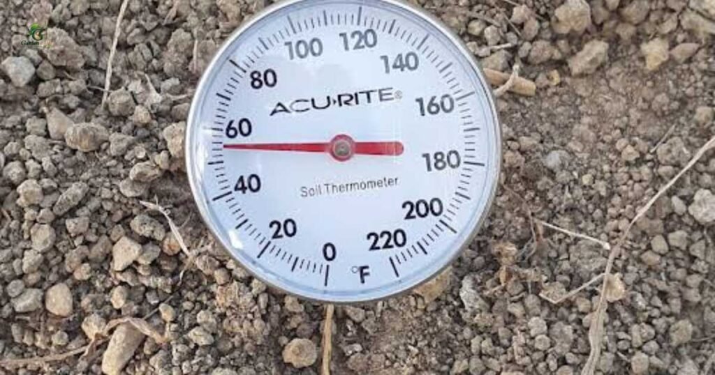 Temperature Ranges That Matter