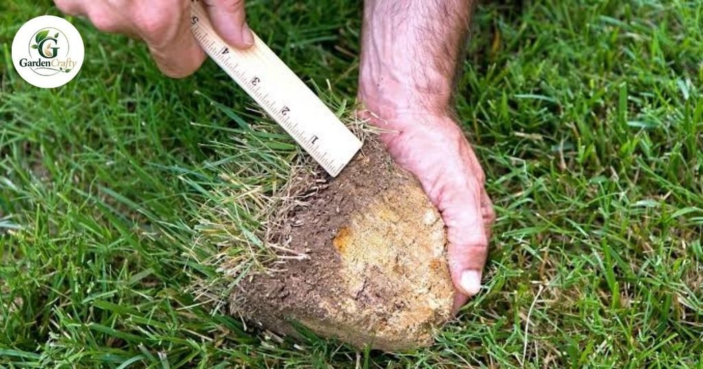 What Your Measurement Means