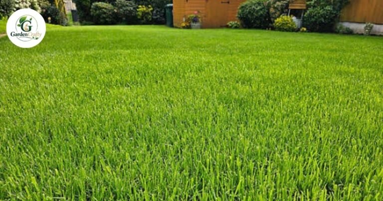 Will Grass Spread on Its Own