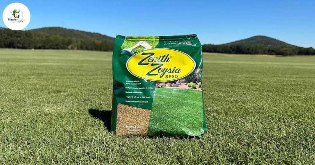 Zoysia Grass for Sale