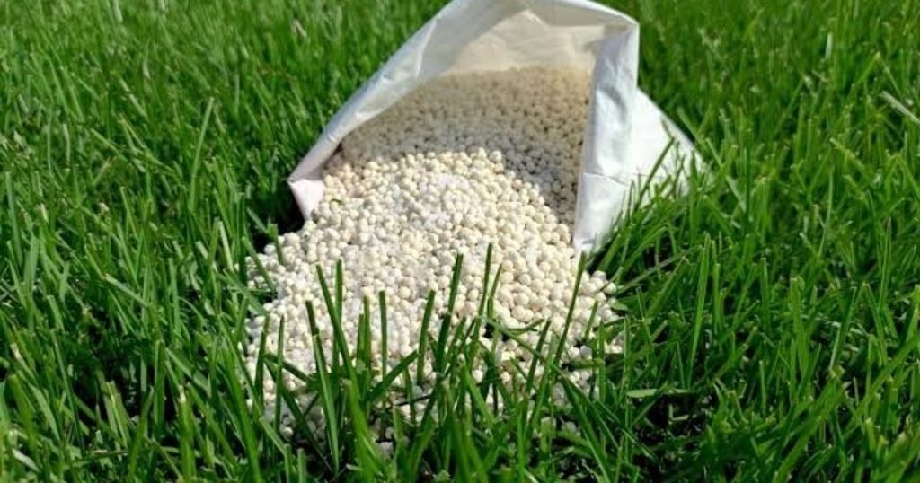6 Different Nitrogen Sources for the Lawn