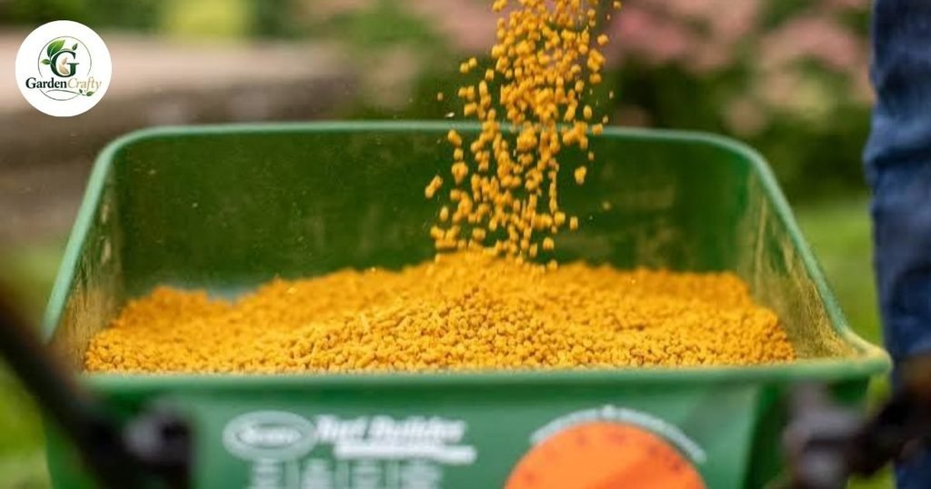 Apply Corn Gluten Meal