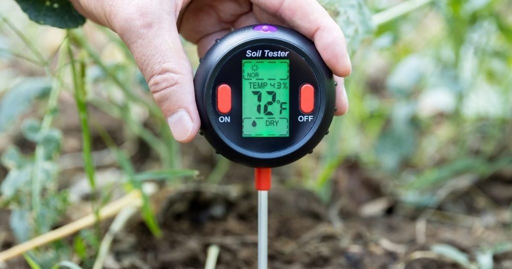 Best Time of Year to Test Soil