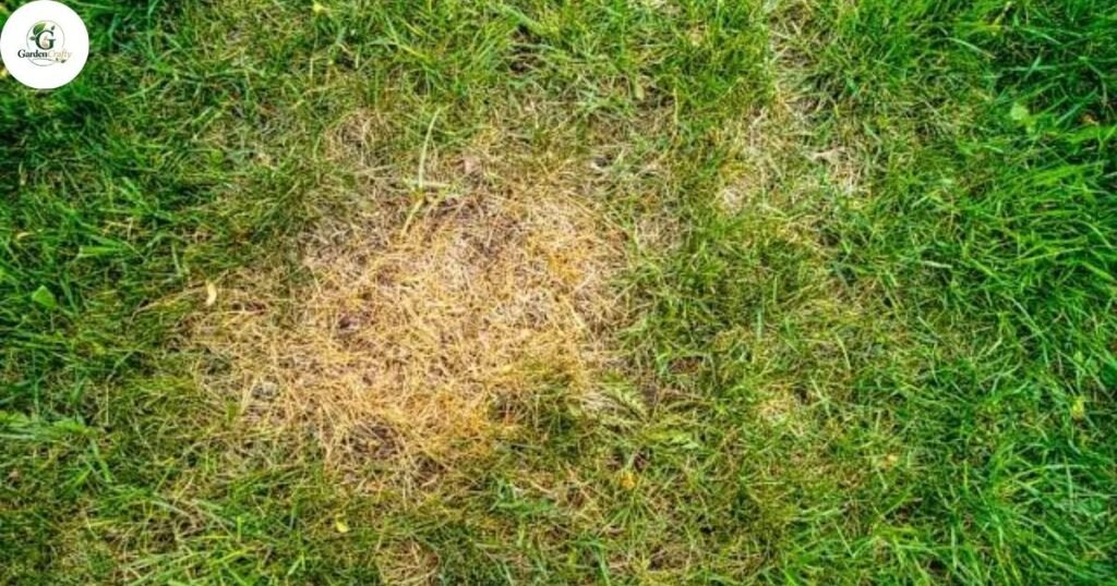 Common Spring Fertilizer Mistakes to Avoid