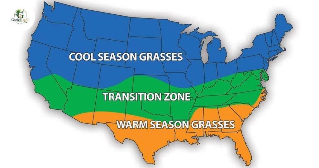 Cool-Season, Warm-Season, and Transition Zone Grasses