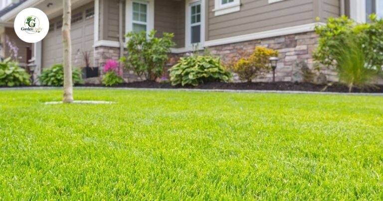 Grass Zones