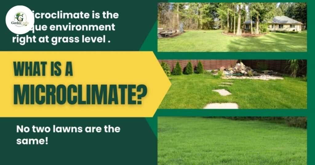 How Grass Handles Microclimates