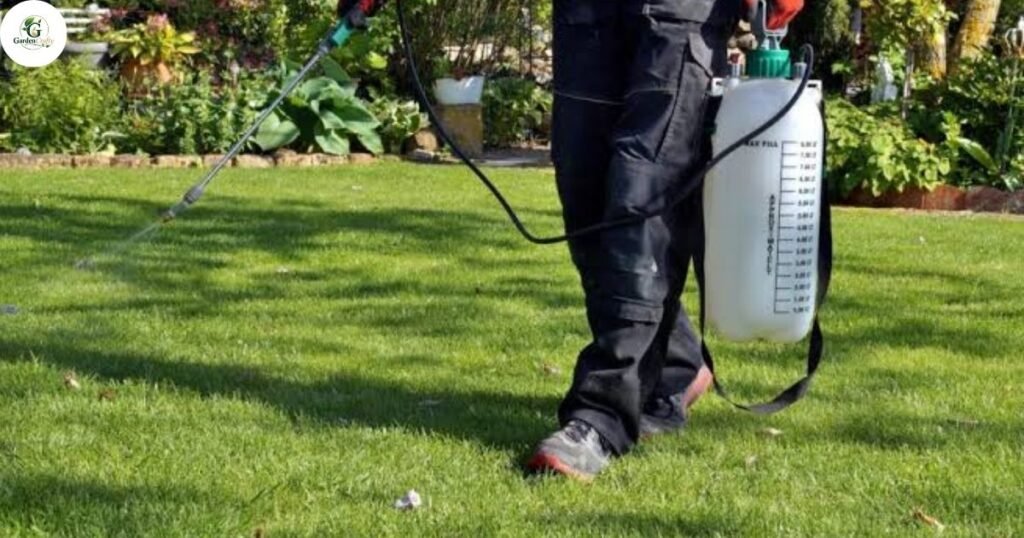 How to Apply Weed Killers Effectively