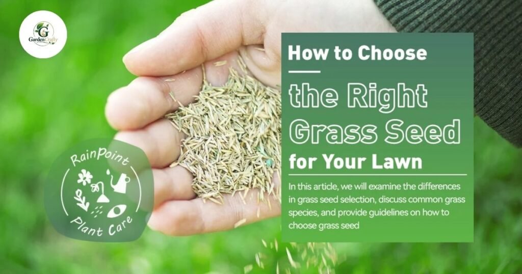 How to Choose the Right Grass Seed for Your Region