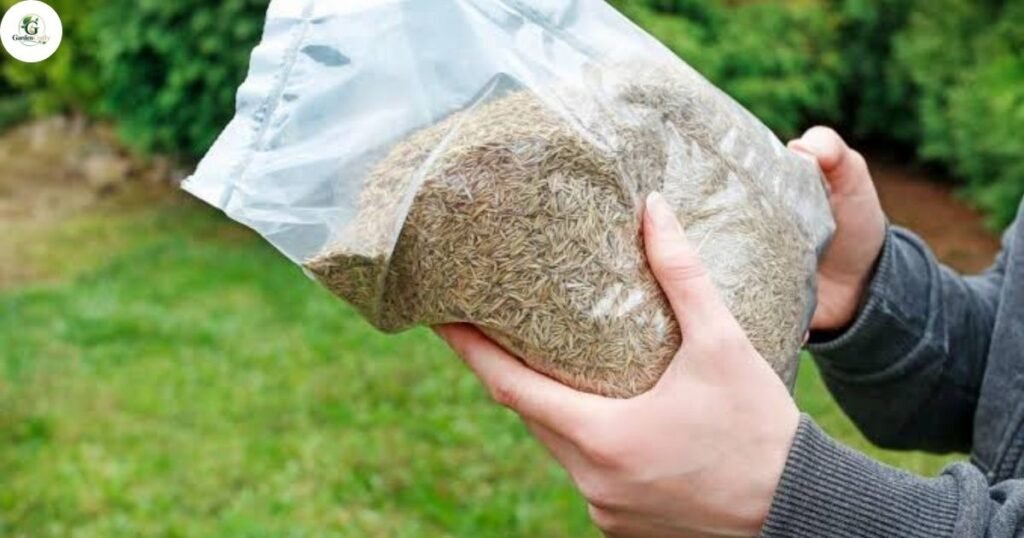 How to Choose the Right One for Your Region, Soil, and Grass Type