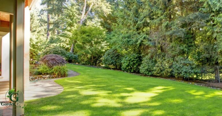 Humic Acid For Lawns