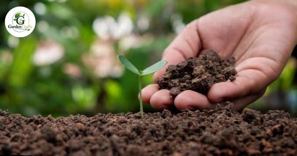 Improve Soil Health Naturally