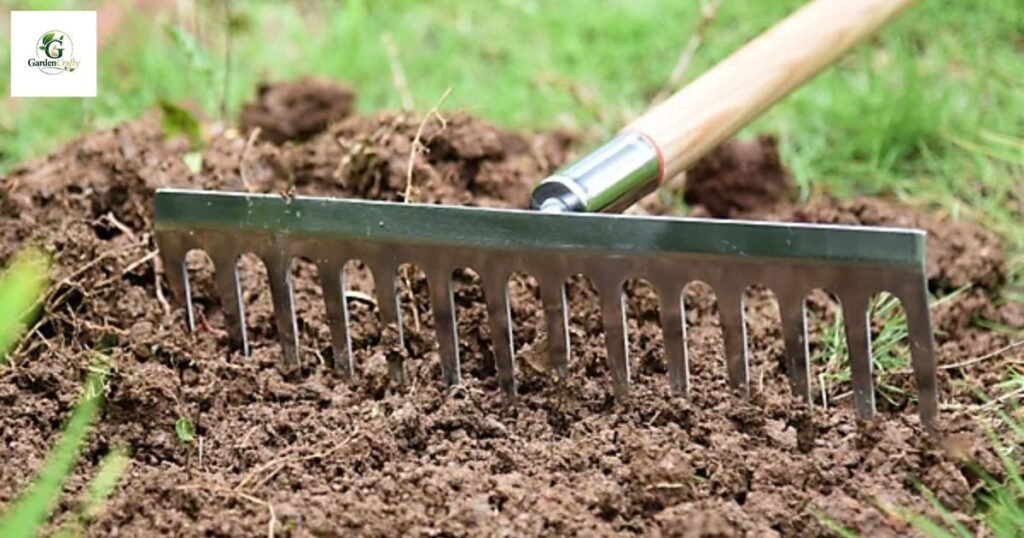 Snow mold grass treatment