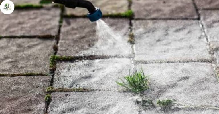 Natural Weed Killer