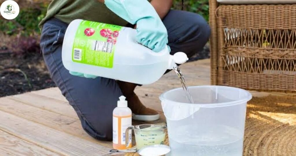 Natural vs Chemical Herbicides