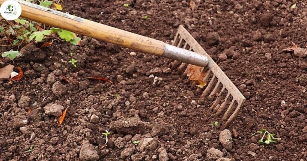 Prep the Lawn Before Seeding