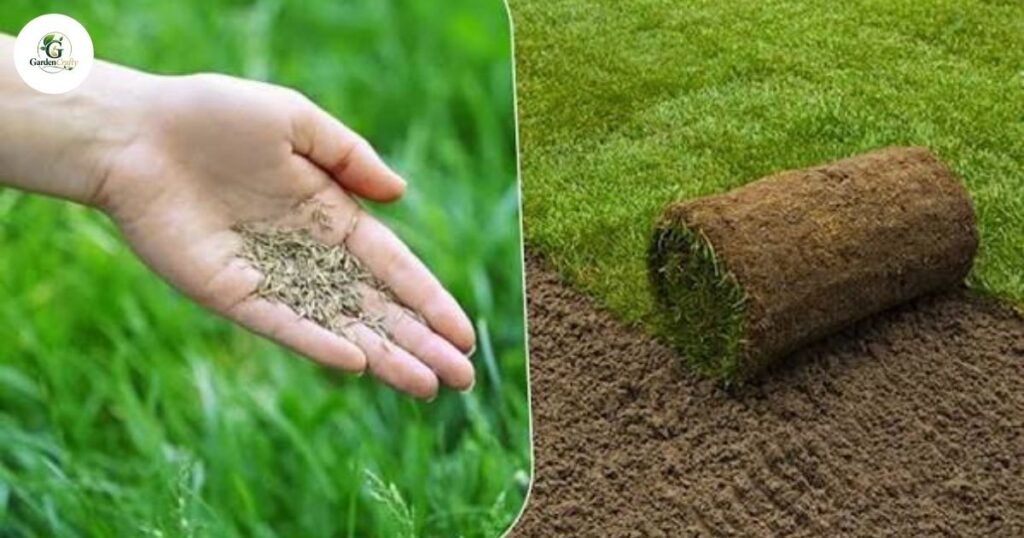 Seed vs Sod for Landscaping