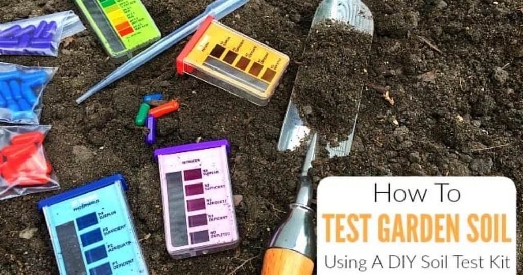 Step-by-Step: How to Use a Soil Test Kit