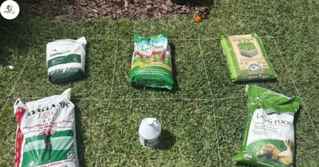 Types of Organic Lawn Fertilizer
