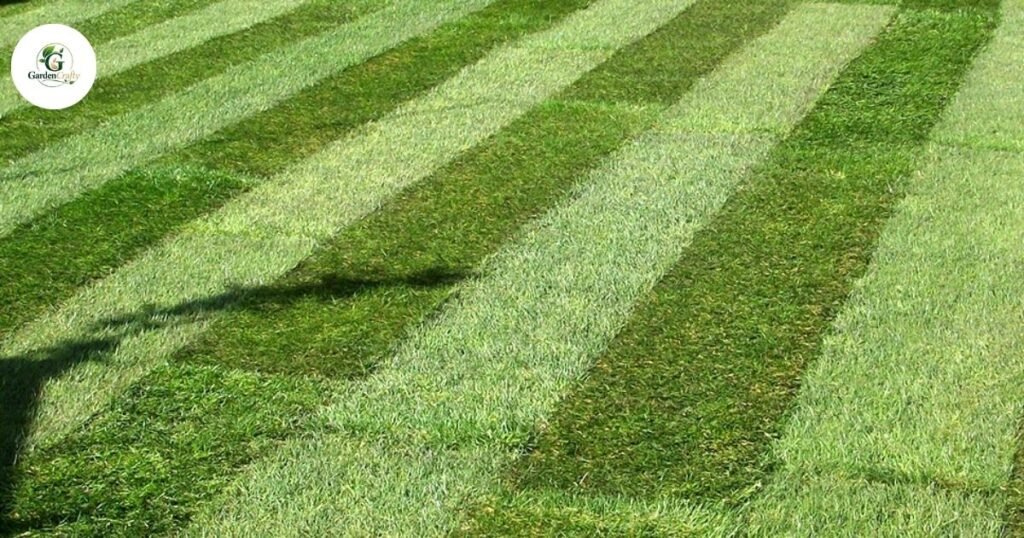 Utility Turf
