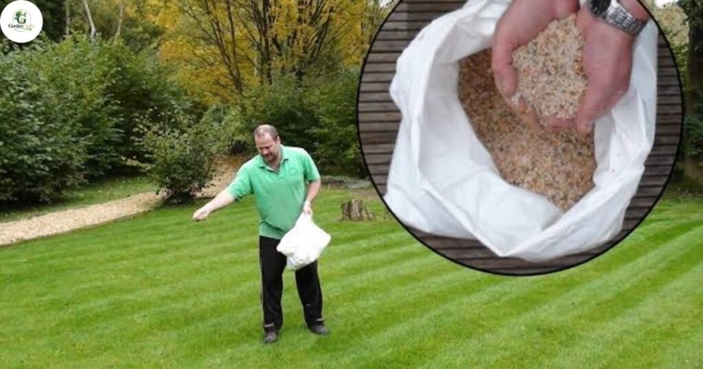 What Is Organic Lawn Fertilizer
