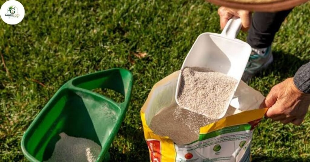What Is the Best Fertilizer for Grass in Spring