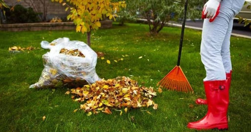 When to Clean Up Your Yard