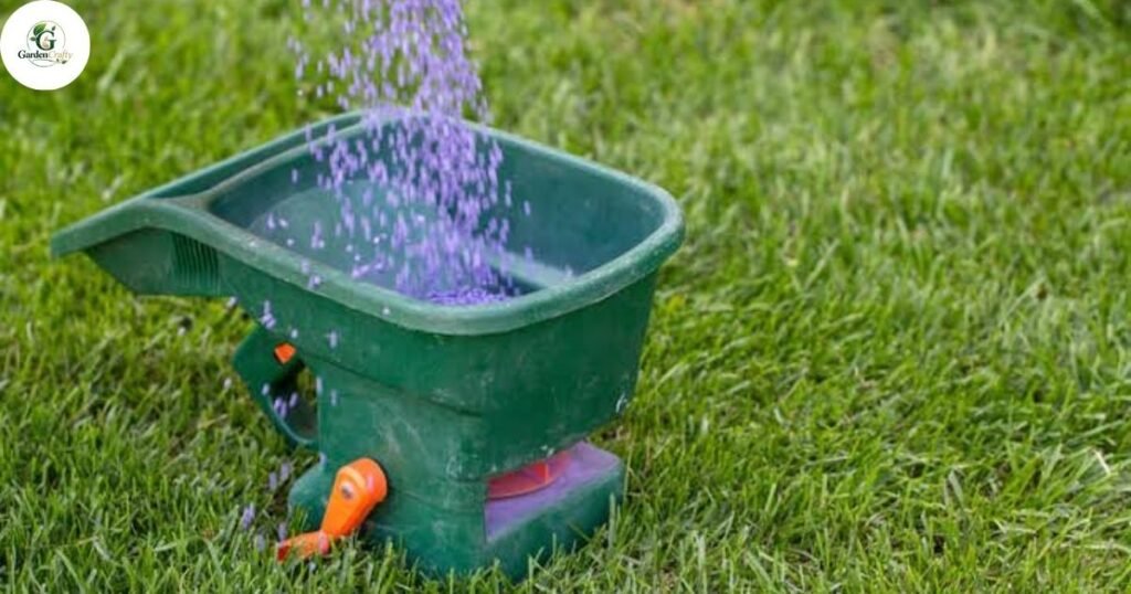 Why Spring Fertilizer for Lawns Is Important