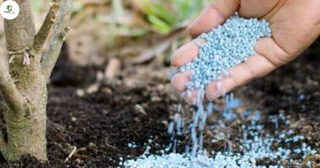 Why Synthetic Nitrogen Quietly Damages Soil Long-Term