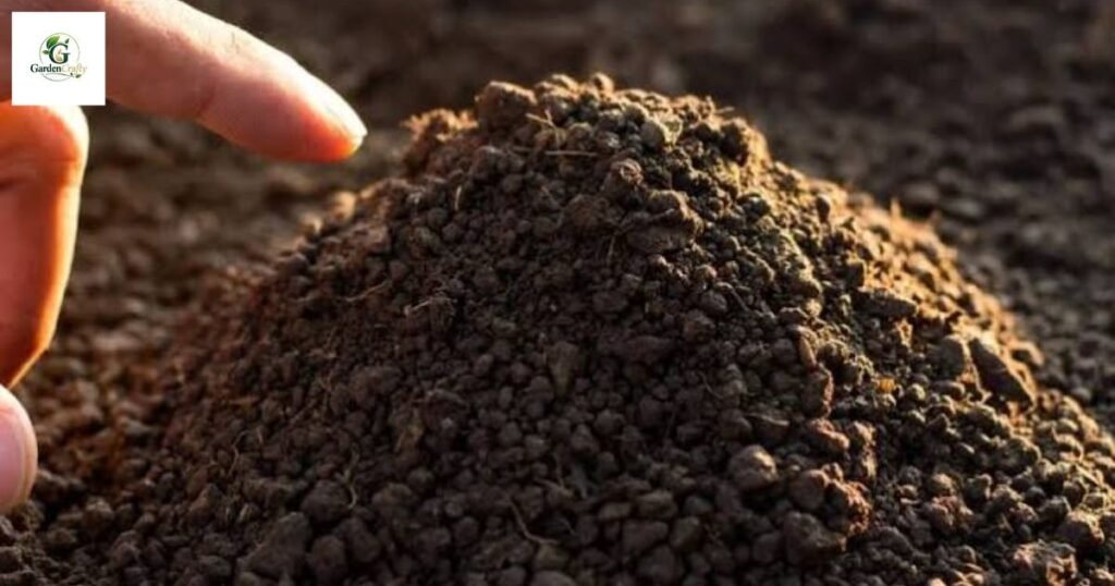 Humic acid for lawns canada