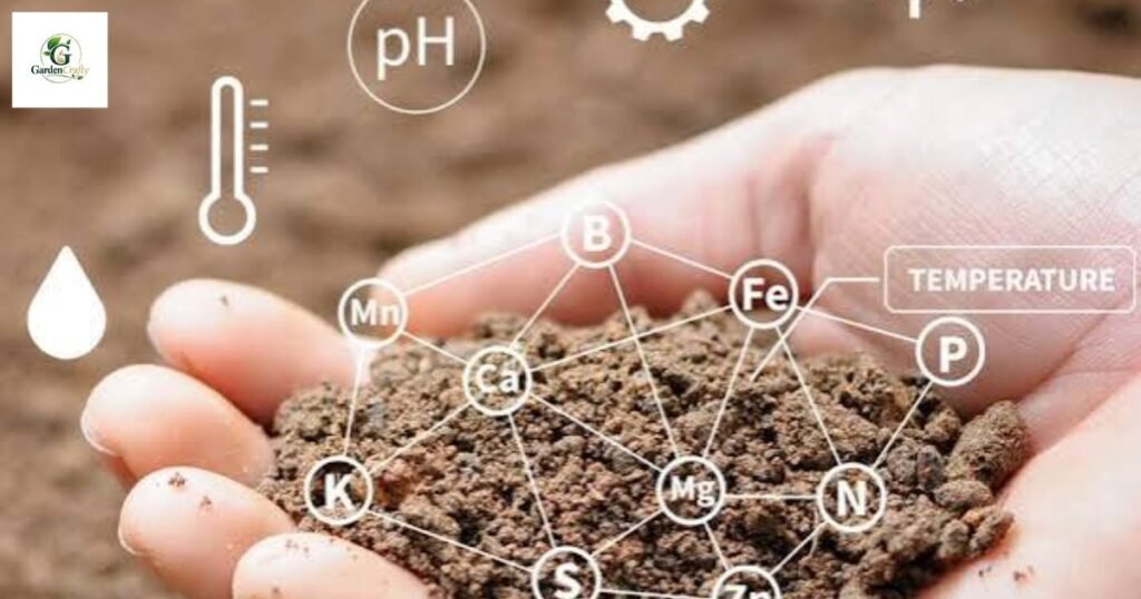 Humic acid for lawns granules
