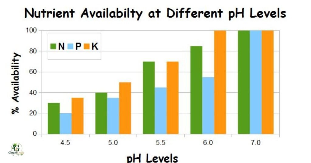 PH Level For Grass