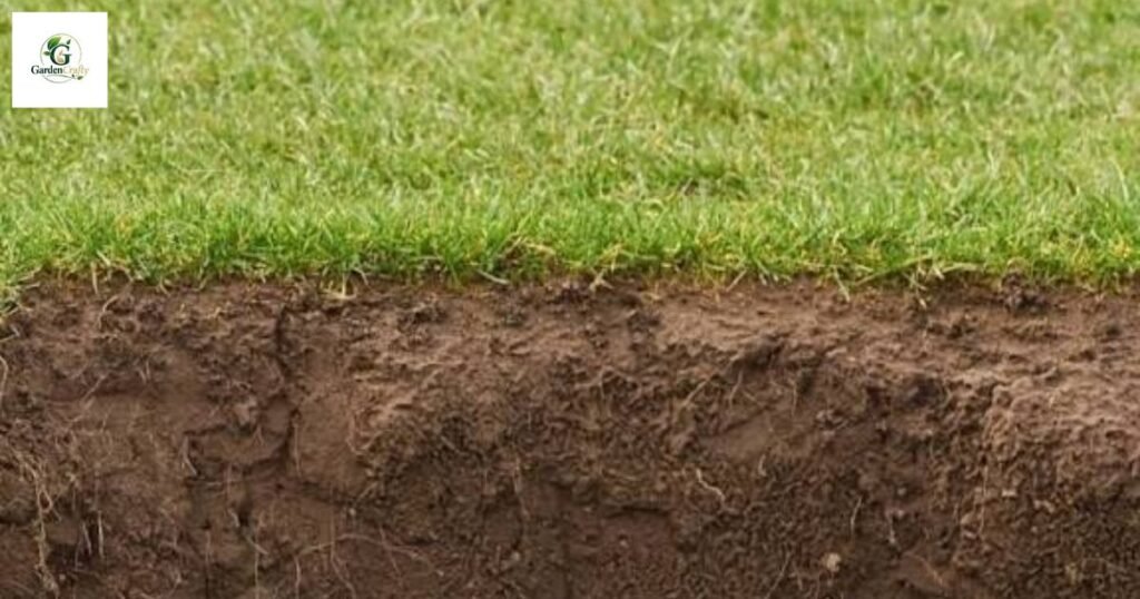 Humic Acid And Compacted Soil