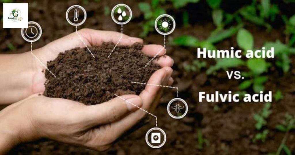 Seaweed and humic acid for lawns