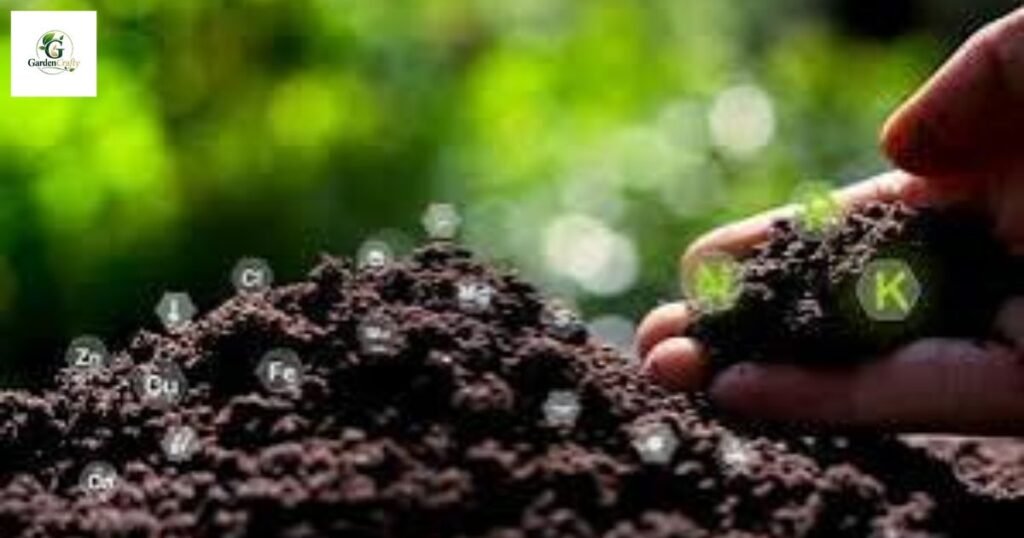 Soil ph level for grass
