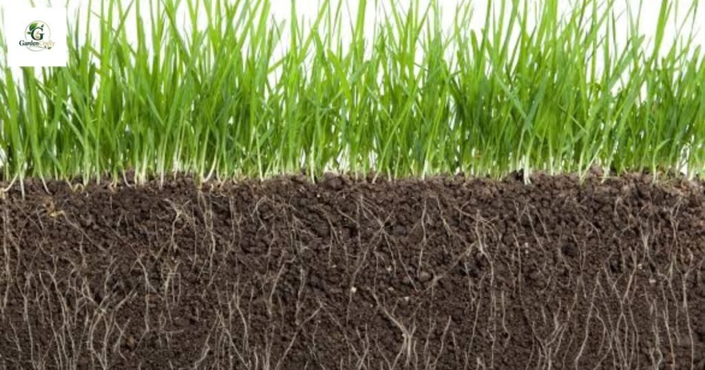 Humic acid for lawns home depot