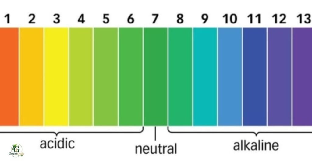 Simple PH Correction Timeline