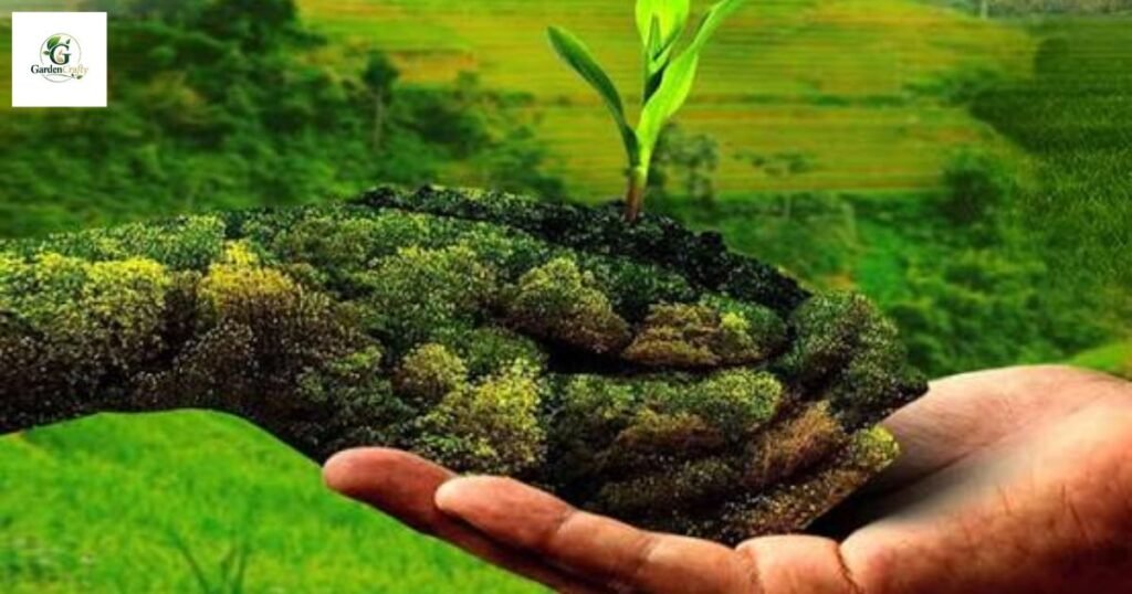 The Organic Advantage