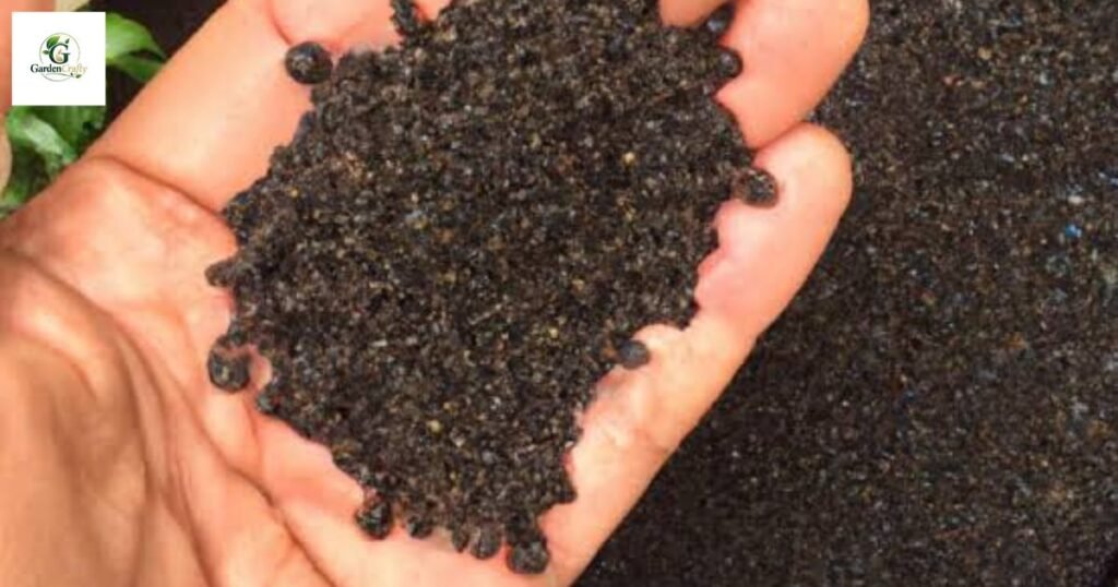 Using Humic Acid With Fertilizer