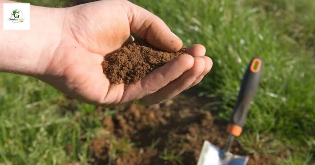 Sea kelp and humic acid for lawns